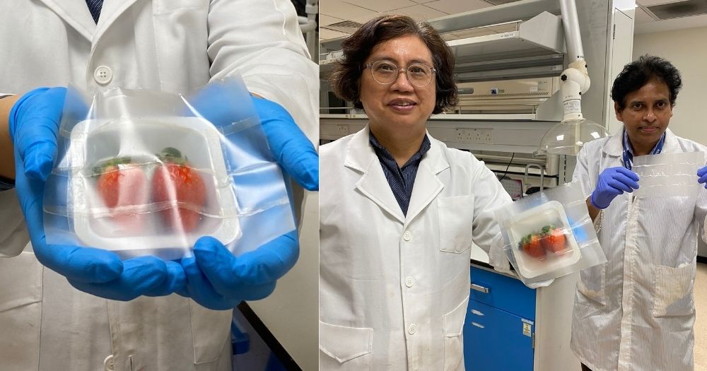 可生物降解的柔性食品包裝_http://m.readbangkokpost.com_新聞資訊_第1張