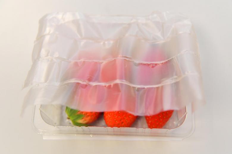 可生物降解的柔性食品包裝_http://m.readbangkokpost.com_新聞資訊_第2張